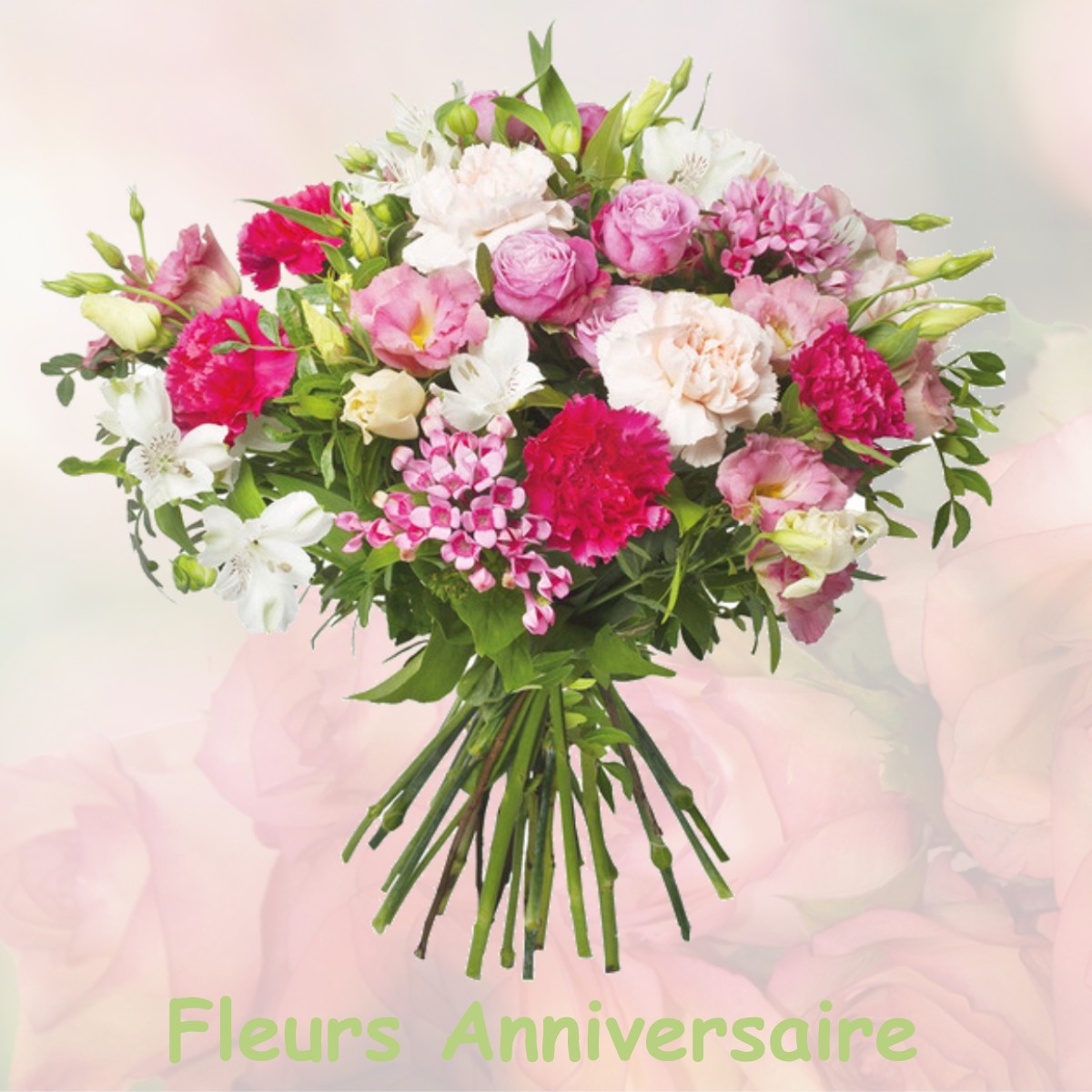 fleurs anniversaire VILLEMEUX-SUR-EURE